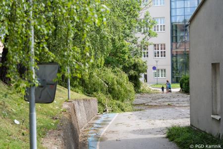 Stanje na terenu (9)